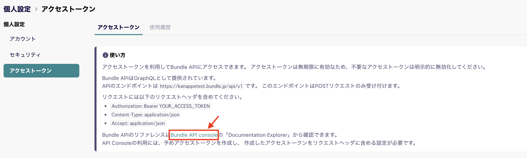 bundle_api_console.png